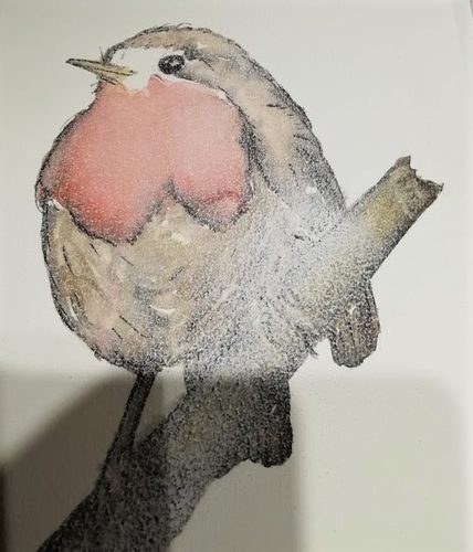 Christine M, Robin 3, watercolour.